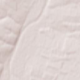 Novozhivotinnoye Terrain Map