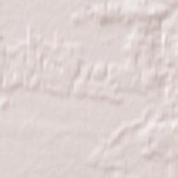 Powiat wschowski Terrain Map