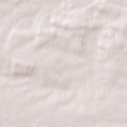 Brzeziny Terrain Map