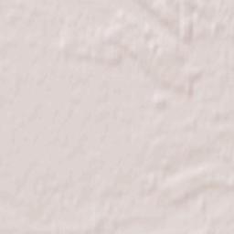 Radzyń Podlaski Terrain Map