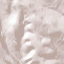 Forge Side, Blaenavon, Pontypool, Torfaen Terrain Map