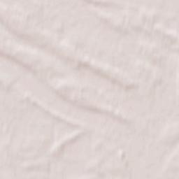 Brahinski Rayon Terrain Map