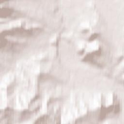 Nikolayevskiy Terrain Map