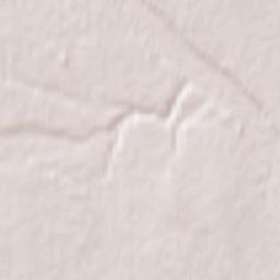 Township Road 312A Didsbury AB T0M 0W0 Terrain Map