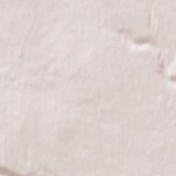 102-106 10th Avenue, Carstairs, AB T0M 0N0 Terrain Map