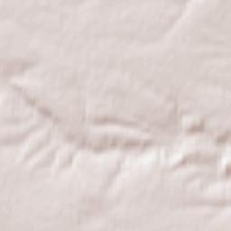 Schochwitz Terrain Map