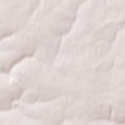 Gorshechnoye Terrain Map