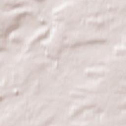 Lieskau Terrain Map