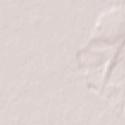 Zwochau Terrain Map