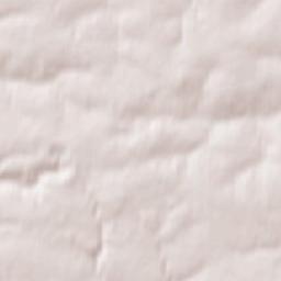 Chernitsyno Terrain Map