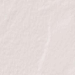 Rubtsovskiy Rayon Terrain Map