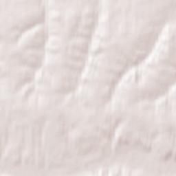 Svobodnenskiy Rayon Terrain Map