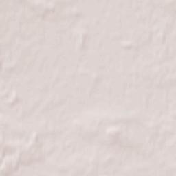 Ścinawa Terrain Map