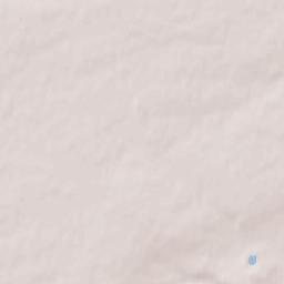 Schafstädt Terrain Map