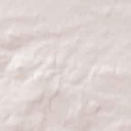 Borkowice Terrain Map