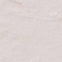 Ovruch Raion Terrain Map