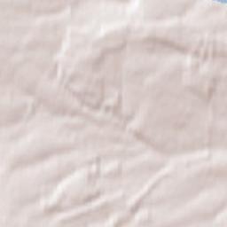 Büttstedt Terrain Map