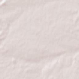 Chlewiska Terrain Map