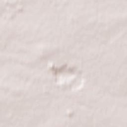 Wierzbica Terrain Map