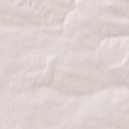 Kozubszczyzna Terrain Map