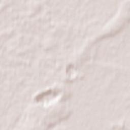 Druzhba Terrain Map