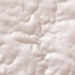 Thornypark Lane, Barnstaple, Devon EX31 Terrain Map