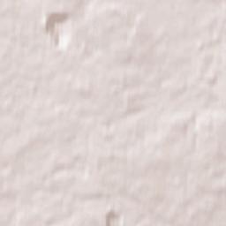 Dibrova Terrain Map