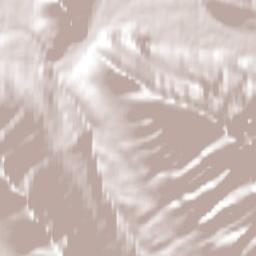 Fairmont Banff Springs Hotel, Banff National Park Terrain Map