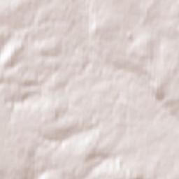 1001-1017 Panorama Hills Drive Northwest Terrain Map