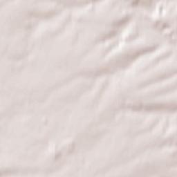 Teuchern Terrain Map