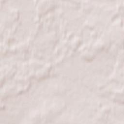 Radoszyce Terrain Map