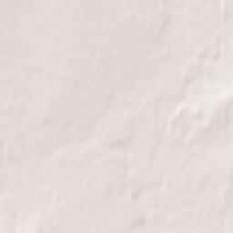 Staroaleyskoye Terrain Map