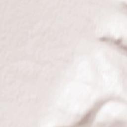 Aleksandrovo-Zavodskiy Rayon Terrain Map