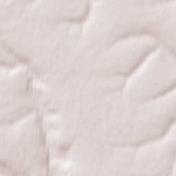 Imeni Pervogo Maya Terrain Map