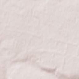 Nizhniy Kislyay Terrain Map