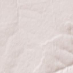 Kozlovka Terrain Map