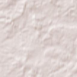 Forest Road, New Forest National Park, Burley Terrain Map