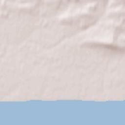 31 Old Worthing Road, East Preston, Littlehampton, West Susse Terrain Map