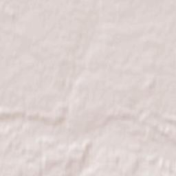 Chopovychi Terrain Map