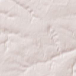 Rakityanskiy Rayon Terrain Map