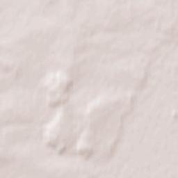 Hazebrouck Terrain Map