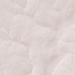 Amochayevsky Terrain Map