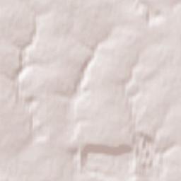 Severnyy Terrain Map