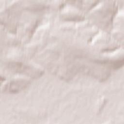 Alekseyevka Terrain Map