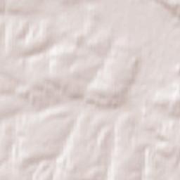 Ziębice Terrain Map