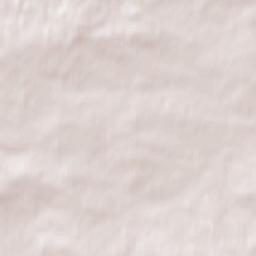 Gniazdów Terrain Map