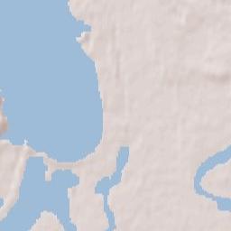 Vyshgorodskiy Rayon Terrain Map
