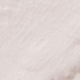 Vorontsovka Terrain Map