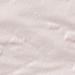 Wodzisław Terrain Map