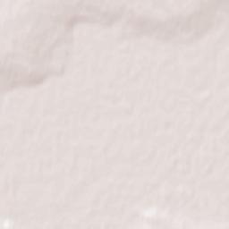 Nizhniy Tsasuchey Terrain Map